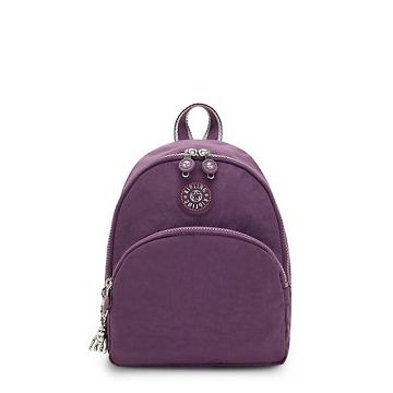 Kipling Paola Small Rucksäcke Lila | DE 1598SG